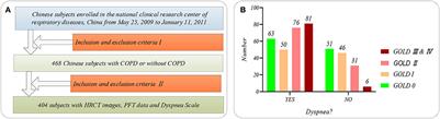 Multi-modal data combination strategy based on chest HRCT images and PFT parameters for intelligent dyspnea identification in COPD